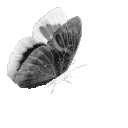 gothicbutterfly animated GIF emoji - 𓉸ྀི 　phᥲntᥲ𝓈m ㆍㆍ 🗡