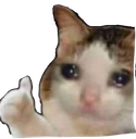 sadcat Discord Emoji from TĘCZOWA DOLINA