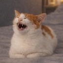 lol custom emote | Absolute Cinema