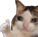 cat Discord Emoji from RIZZ HEAVEN | Chill • Hangout • VC • SFW • Events • Friends • Giveaways • Ask to DM • Non Dating