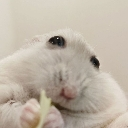 popeyehamster custom emote | [IN-DEV]Last Starser Overultra