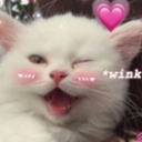 winklovers Discord sticker from Lovers Cafe™ | Indian Discord Server • Nitro • Voice Chat • Active • India • Hangout • Gaming • SFW