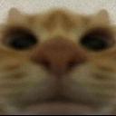 emoji_12 Discord Emoji - 𝐌𝐗𝐏𝐈𝐎𝐑𝐄𝐑 𝐂𝐨𝐦𝐦𝐮𝐧𝐢𝐭𝐲