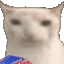 cateat animated Discord emote | Adultcord│Social & Gaming