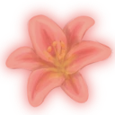 Orange lily flower with soft petals centered on a bright background.