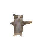 yippeecat animated emote | the dog house ‧˚꒰🐾୭ ˚. ᵎᵎ