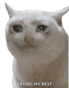 sadcat animated GIF emoji | SSKillCode's ™