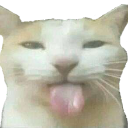 catliem1 Discord Emoji - 𝘙𝘌𝘈𝘓𝘐𝘛𝘠 𝘈𝘞𝘈𝘐𝘛𝘚... but after 24.7