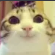 Screenshot20260413210318 custom emote | Vandox_YT