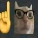 Cat wearing glasses next to a yellow index finger emoji pointing upward.
