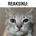 reaksiku Discord Emoji - BUDITY SERVER