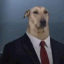 A dog with a serious expression wearing a black suit and red tie.