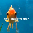 A goldfish staring forward with the text overlay Fine ignore me then.