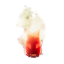 SurtlingTrophy Discord Emoji from Valheim RU