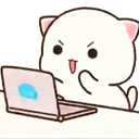 Mochi cat with a determined expression typing rapidly on a laptop.