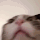 FR_catshakey animated GIF emoji | Friends 18+ Sfw | Adults-only • active-chat • Mature • Friendly • Gaming • Lgbtq+ • Hangout