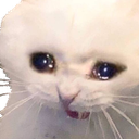 cat_CryCat Discord Emoji | 𝕊ℙ𝔸ℂ𝔼