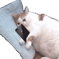 A white cat lying on a blue pillow while holding a black smartphone and looking at the screen.