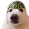 64017dogdua Discord sticker | Lovescape