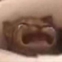 CatCry custom emote - Besties Community