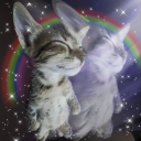 Kitten with eyes closed in a peaceful expression surrounded by a rainbow aura and sparkling stars.