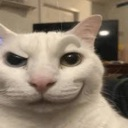 emoji_84 Discord Emoji - Dex’s Amunity