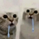 emoji_34 custom emote | 𝐻𝒶𝓁𝒸𝓎𝑜𝓃𝓎