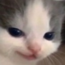 catsmirk Discord Emoji from RIZZ HEAVEN | Chill • Hangout • VC • SFW • Events • Friends • Giveaways • Ask to DM • Non Dating