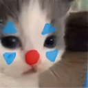 clowncat Discord sticker | Oreon Community 👻