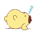 Pompompurin the dog sleeping peacefully with ZZZ symbols above his head.