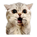 catshook custom emote | Chi on air