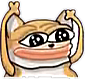 10 custom emote | 🦄🌸Gatos Cósmicos🌸🦄