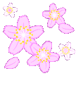 65_Kpurple_flowers animated emote - Evelya Community 🍂