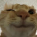 Cat_wink Discord Emoji - Heart.exe