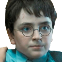 pissed_Harry custom emote - Harry Potter on HBO