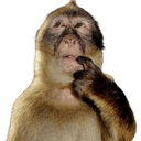 monkeythink Discord Emoji from /crew