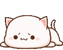 A white cat with a bored expression sitting and lying down in various poses.
