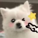 CutieDog Discord sticker | ✨КиберЛапки🎮