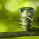 caterpillar custom emote from 𝓝𝓲𝓰𝓱𝓽𝓯𝓪𝓵𝓵