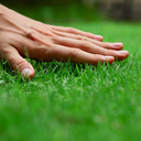 TouchGrass custom emote from The 1woners