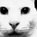 Uncanny Discord Emoji from Bridger Western Server | Trading • Guides • Updates • LFG