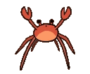 A red pixelated crab dancing and waving its claws in a rhythmic motion.