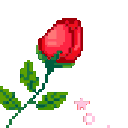 pixelrose animated emote - Adultcord│Social & Gaming