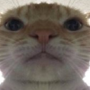58034catscammer Discord Emoji | MANAVA MULTIVERSE