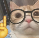 ce_ackshually Discord sticker from Hamara Server