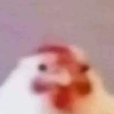 chick_brehhhh Discord sticker from COMMEZARS