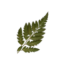 3b592d5d23387a7c9cc9b038ce3b42c1 Discord Emoji from mrrp
