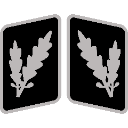 Collar patch insignia featuring silver oak leaves on a black background.
