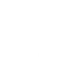 A white Vlone logo on a black background.