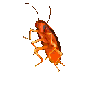 roach24 animated emote | Luminous Lounge